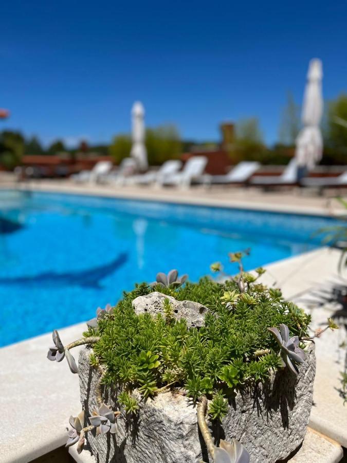 耶尔萨Gorana Apartman With Swimming Pool公寓 外观 照片
